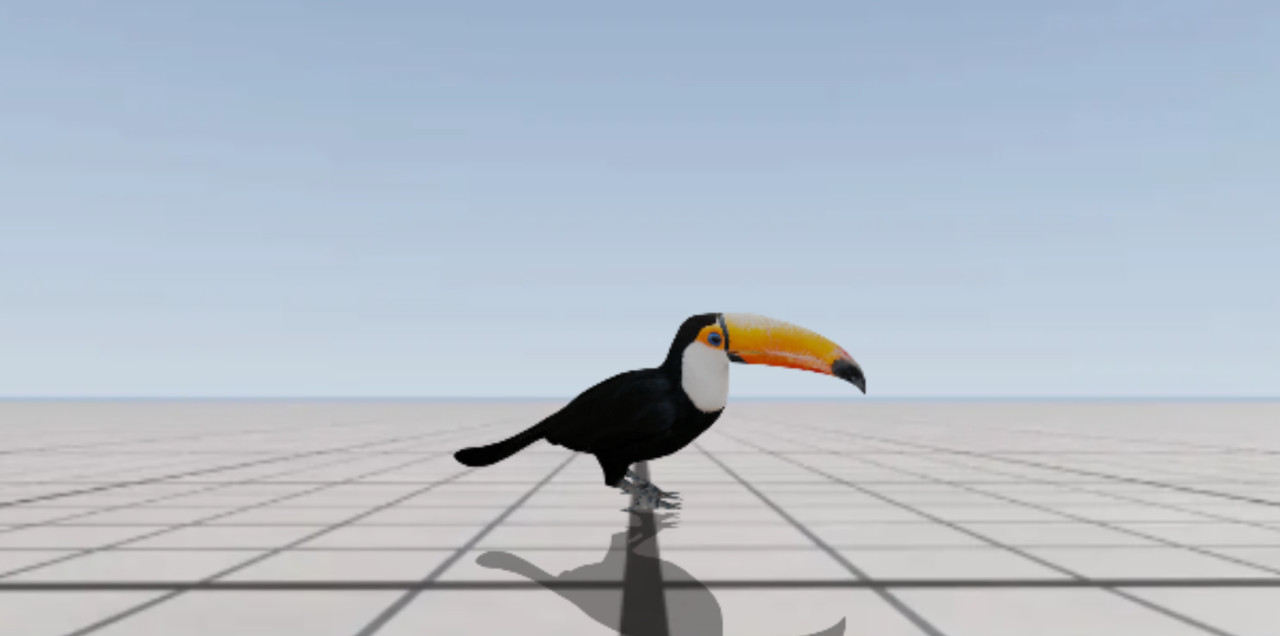 Tucán toco - Toucan toco